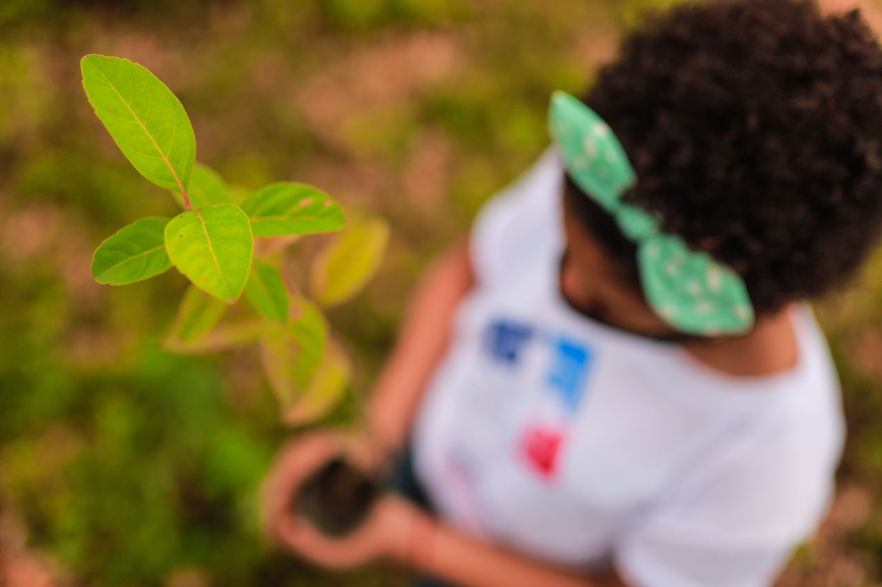 Prosoli en jornada de reforestación