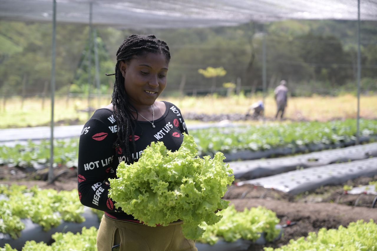 De la mano de nuestros agricultores a tu mesa