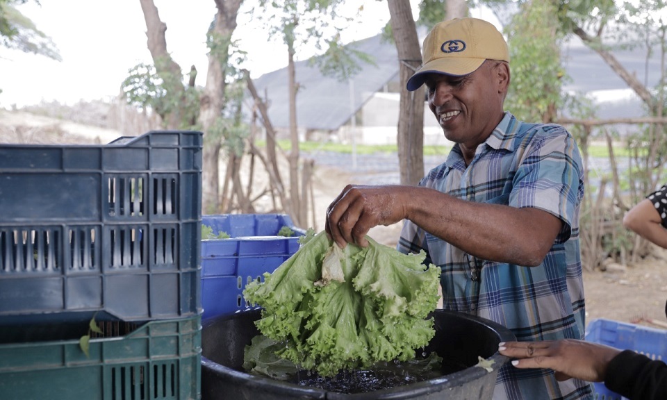 Agricultores familiares de Superate seran favorecidos por decreto presidencial