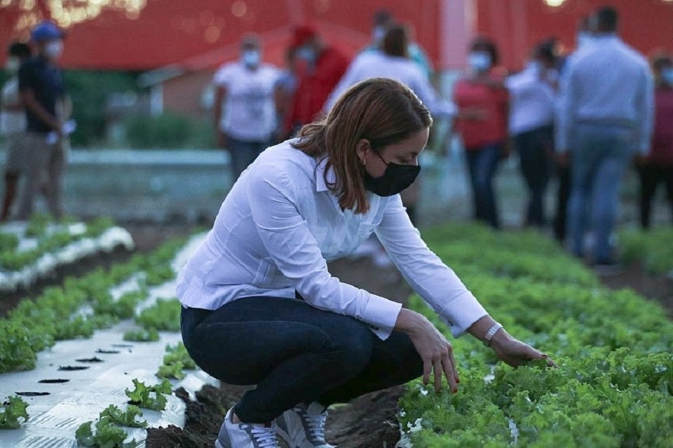 La mujer rural y su rol protagonico en la erradicacion del hambre