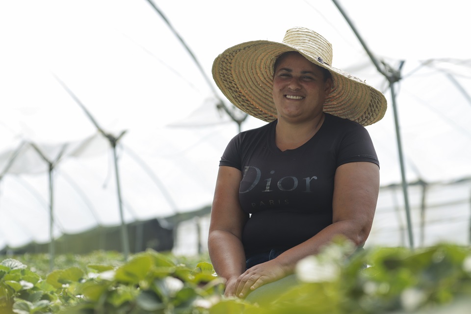 Agricultora del proyecto Casas Sombras del programa Agricultura Familiar de Superate