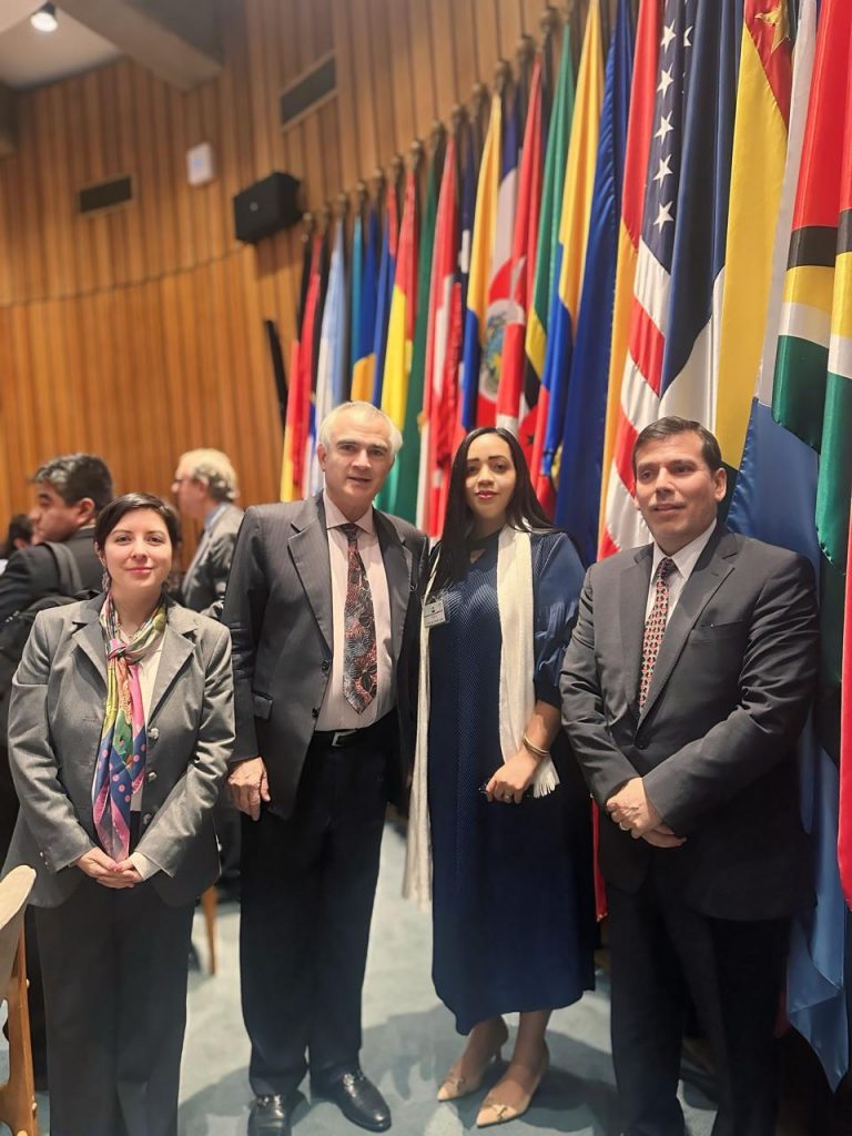Supérate presentó avances en Protección Social Adaptativa y Cuidados en el 5º seminario regional de desarrollo social de la Cepal